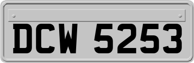 DCW5253
