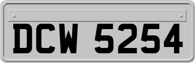 DCW5254