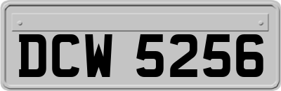 DCW5256