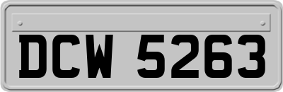 DCW5263
