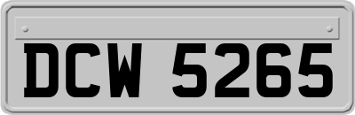 DCW5265