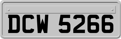 DCW5266