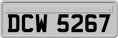 DCW5267