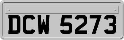 DCW5273