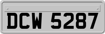 DCW5287
