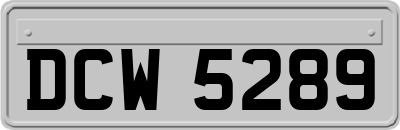 DCW5289