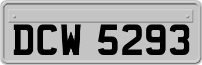 DCW5293