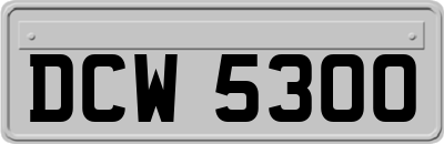 DCW5300