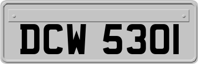 DCW5301
