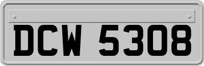 DCW5308