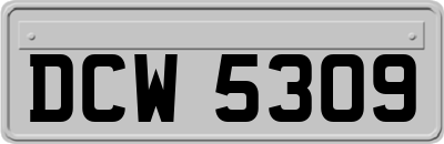 DCW5309