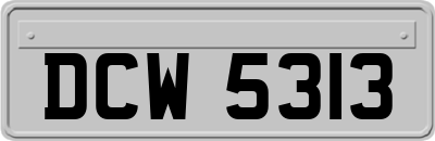 DCW5313