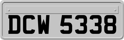 DCW5338