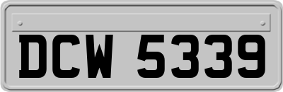 DCW5339