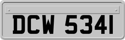 DCW5341