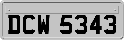 DCW5343