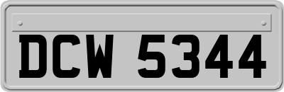 DCW5344