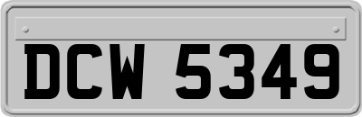 DCW5349
