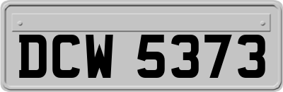 DCW5373