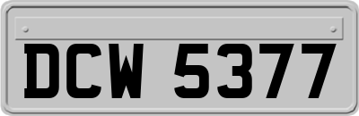 DCW5377