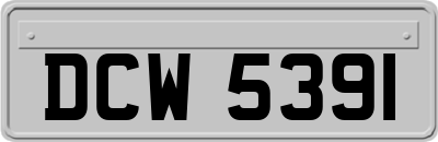 DCW5391