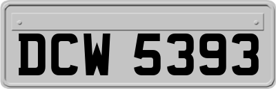 DCW5393