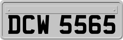 DCW5565