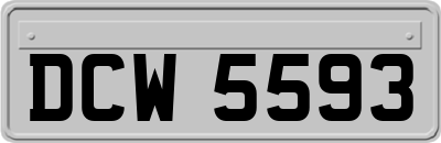 DCW5593