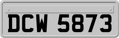DCW5873