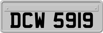 DCW5919