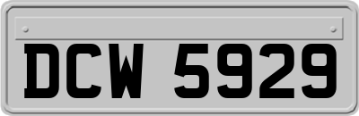 DCW5929