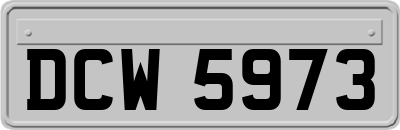 DCW5973