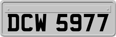 DCW5977