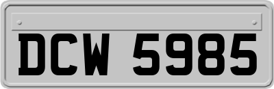 DCW5985