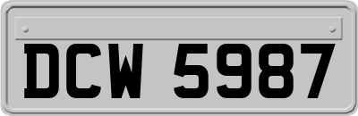 DCW5987