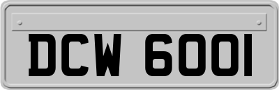 DCW6001