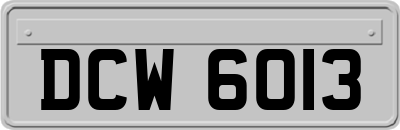 DCW6013