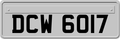 DCW6017