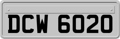DCW6020