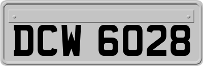 DCW6028