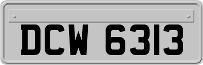 DCW6313