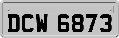 DCW6873