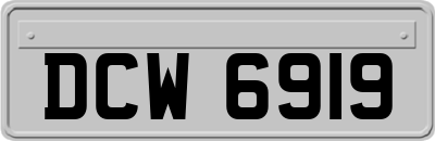 DCW6919