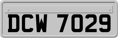 DCW7029