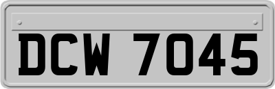DCW7045