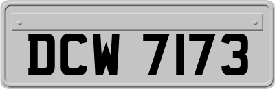 DCW7173