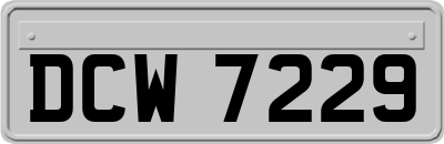 DCW7229