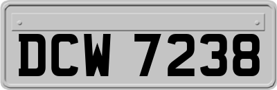 DCW7238