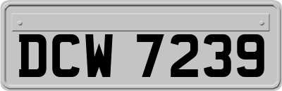 DCW7239