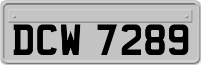DCW7289
